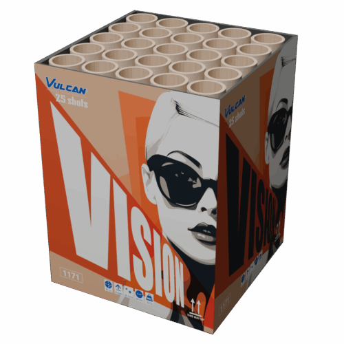 Vision